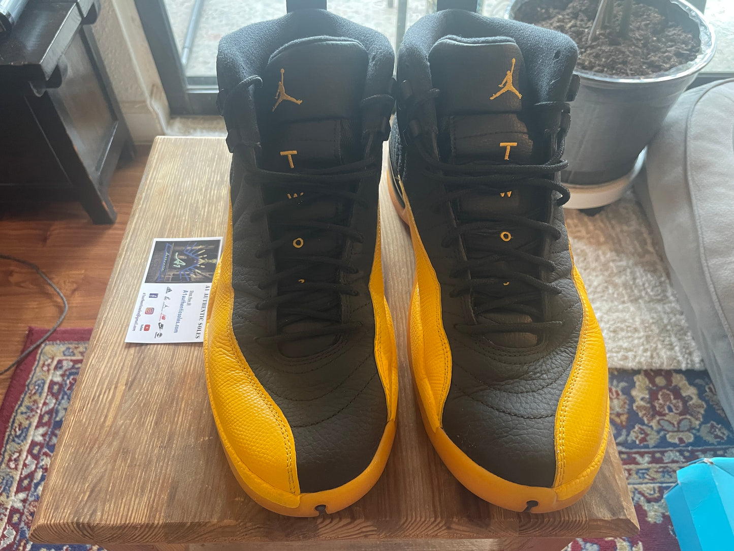 Air Jordan 12 Size 11