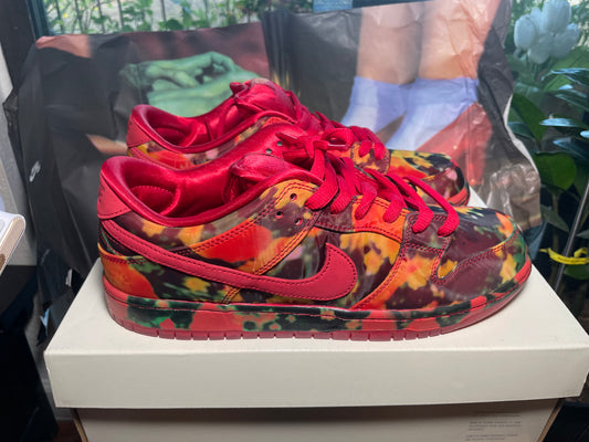 * Nike SB Dunk Wizard Of Oz Sz 10
