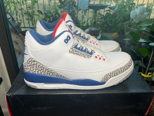 * Air Jordan 3 True Blue (2016) Sz 10.5