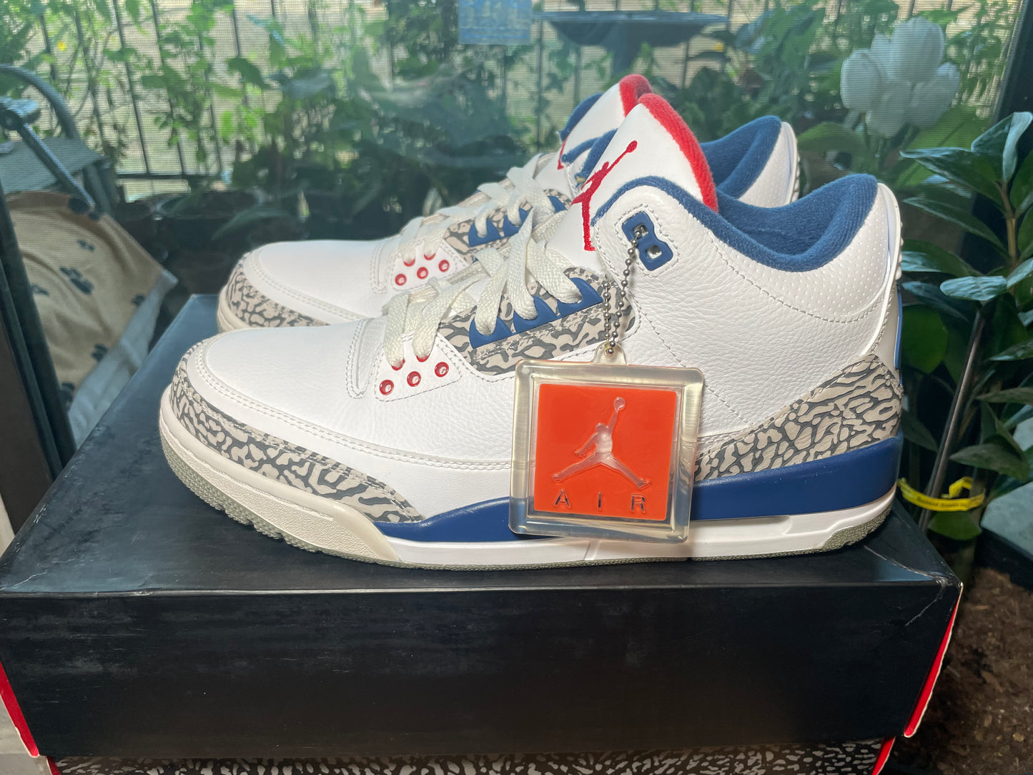 * Air Jordan 3 True Blue (2016) Sz 10.5