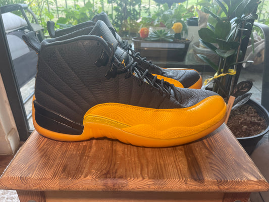 Air Jordan 12 Gold Size 11 VNDS
