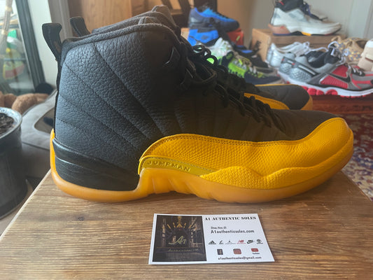Air Jordan 12 Size 11