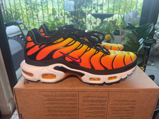 Nike Air Max Plus Sz 9