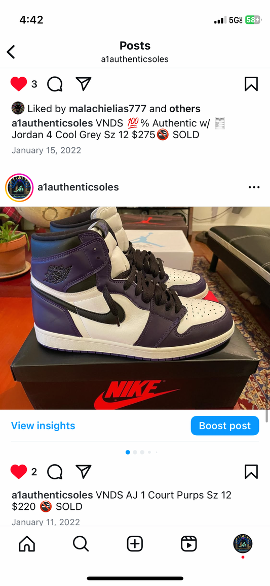 Air Jordan 1 Hi Court Purp Sz 12