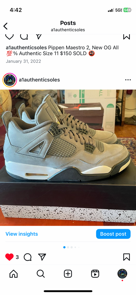 Air Jordan 4 Cool Grey Sz 12